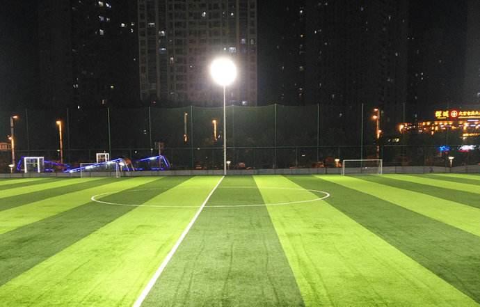 Artificial Grass Infill