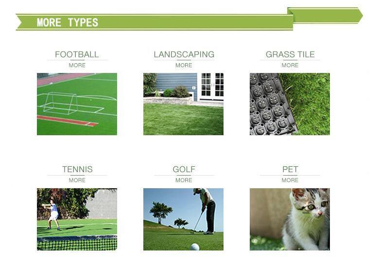 more types more types