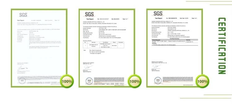 Synthetic Surface Lawn