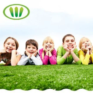 סדרת חיות מחמד 20 מ"מ חומר בטיחות שימוש דשא מלאכותי לכלבים וחתולים