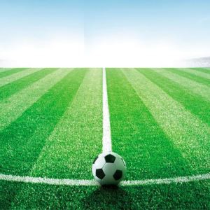 שדה כדורגל טורף