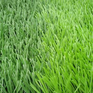 כדורגל פוטבול דשא