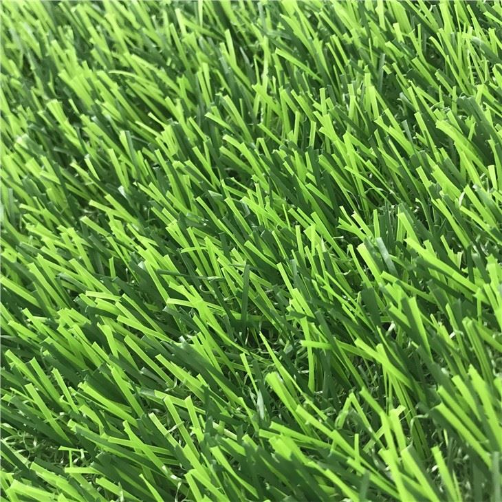 All Green Landscape