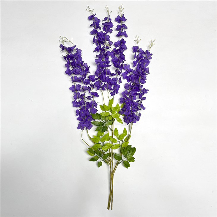Purple flowers